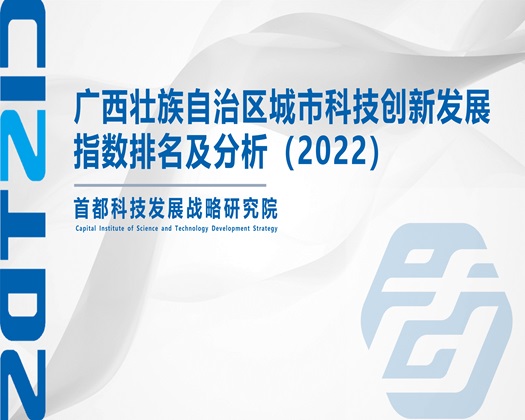 俺来插骚女人【成果发布】广西壮族自治区城市科技创新发展指数排名及分析（2022）